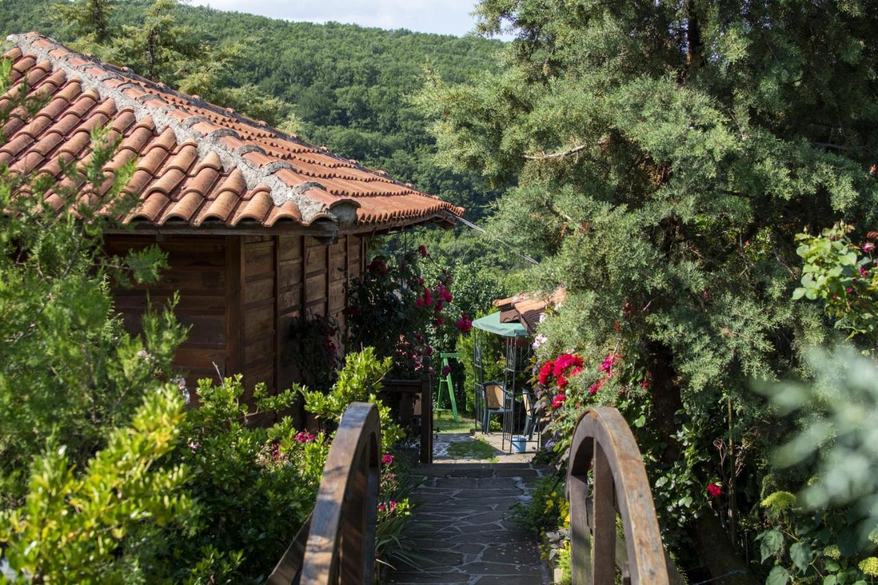 Ecocomplex Katuniszcze Hotel Katuniște Exterior foto