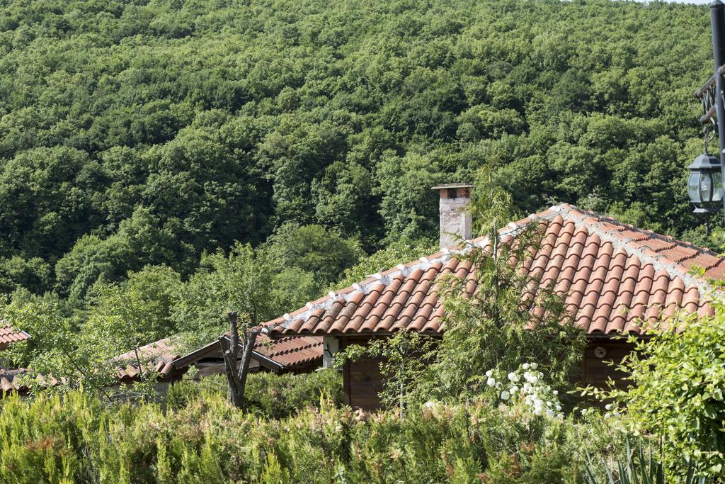 Ecocomplex Katuniszcze Hotel Katuniște Exterior foto